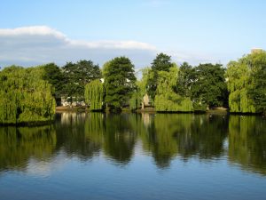 A lake in Orangeburg, SC | Superior Kia
