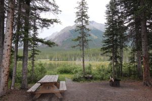 A picnic table in a beautiful park in Colombia, SC | Superior Kia