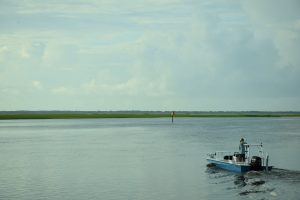 Cape Romain National Wildlife Reguge | Superior Kia