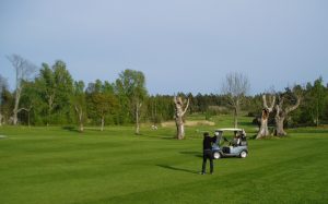 One of the best golf courses in Orangeburg, SC | Superior Kia