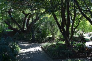 parks and gardens in Columbia South Carolina