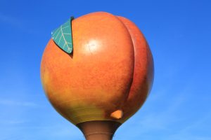 peach hot air balloon