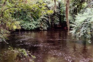 riverbanks zoo and garden river