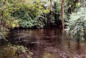edisto memorial gardens
