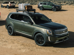 kia telluride in the desert