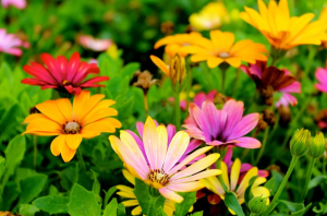 Take the Kia and Check Out These 3 Great Views Near Orangeburg, SC