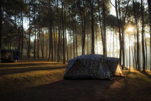 Camping site near Orangeburg, SC