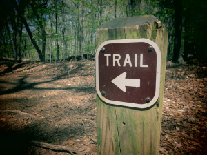 A trail for biking located near Orangeburg, South Carolina