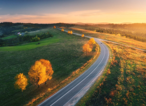 A long road during golden hour near Orangeburg, South Carolina.