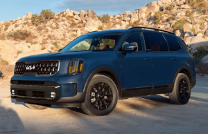 A 2024 Kia Telluride parked on a dirt road near Orangeburg, South Carolina.